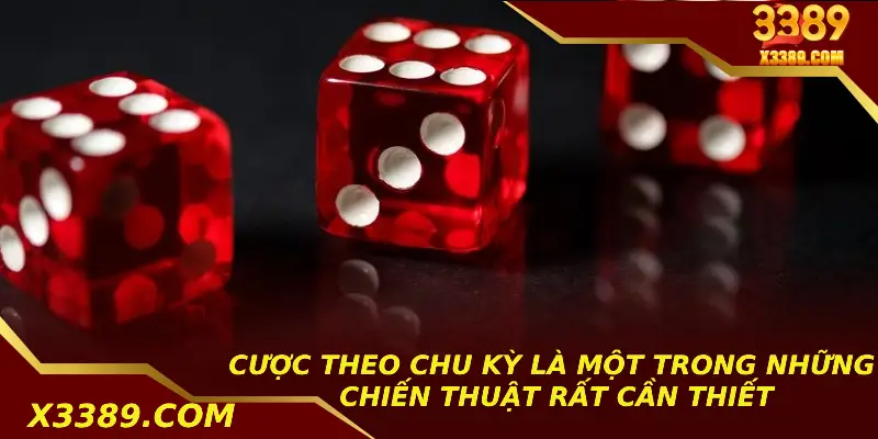 Cược theo chu kỳ là một trong những chiến thuật rất cần thiết
