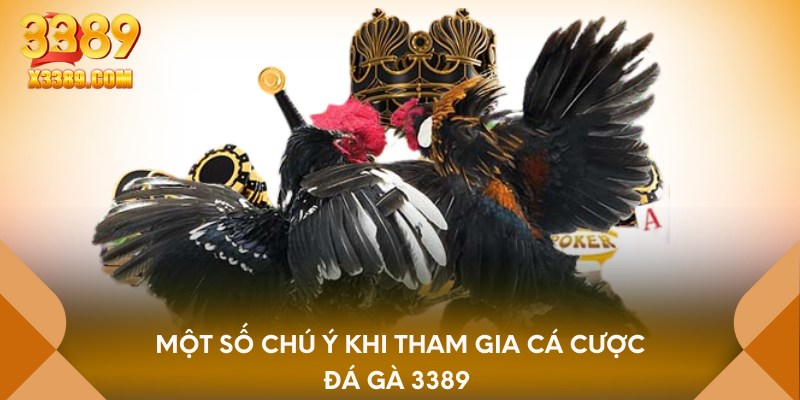 Một số chú ý khi tham gia cá cược đá gà 3389 