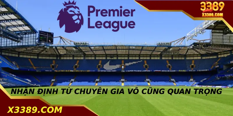 Nhận định từ chuyên gia là vô cùng quan trọng